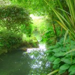 Introduction to Latent Class Analysis