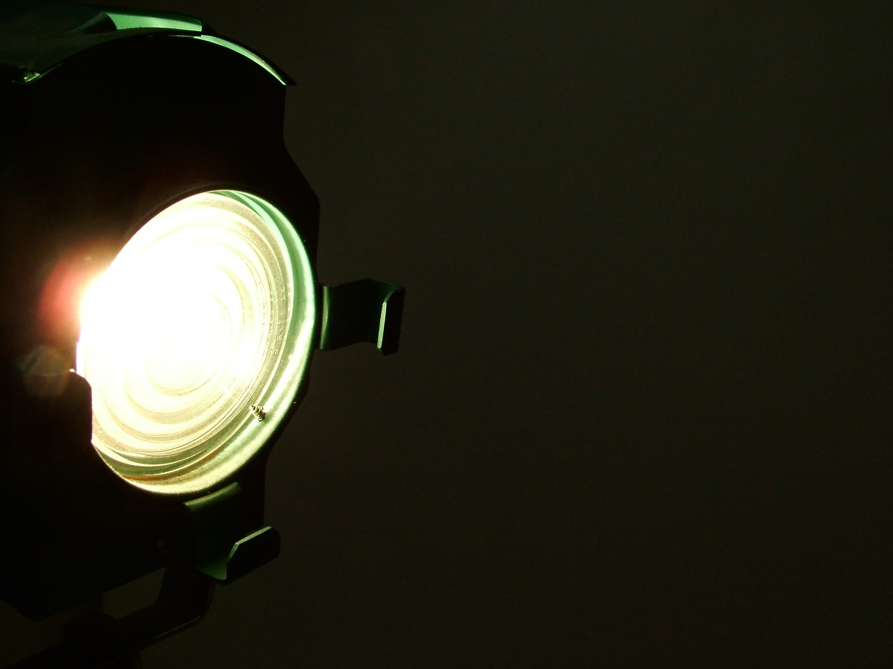 Spotlight on Social Science Conference