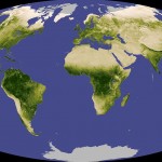 Global Vegetation