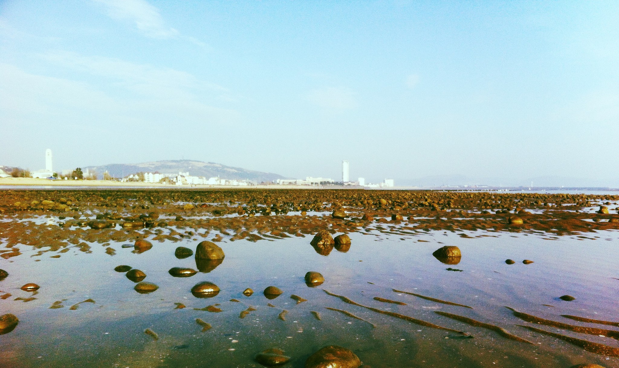 Eurasian, East and Central European Studies Women Academics’ Forum