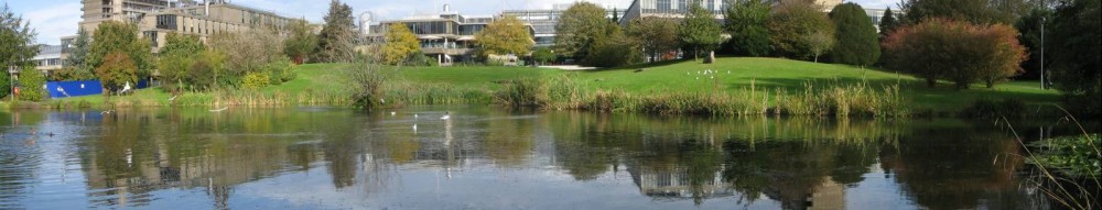 University of Bath