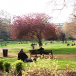 Introduction to the Millennium Cohort Study