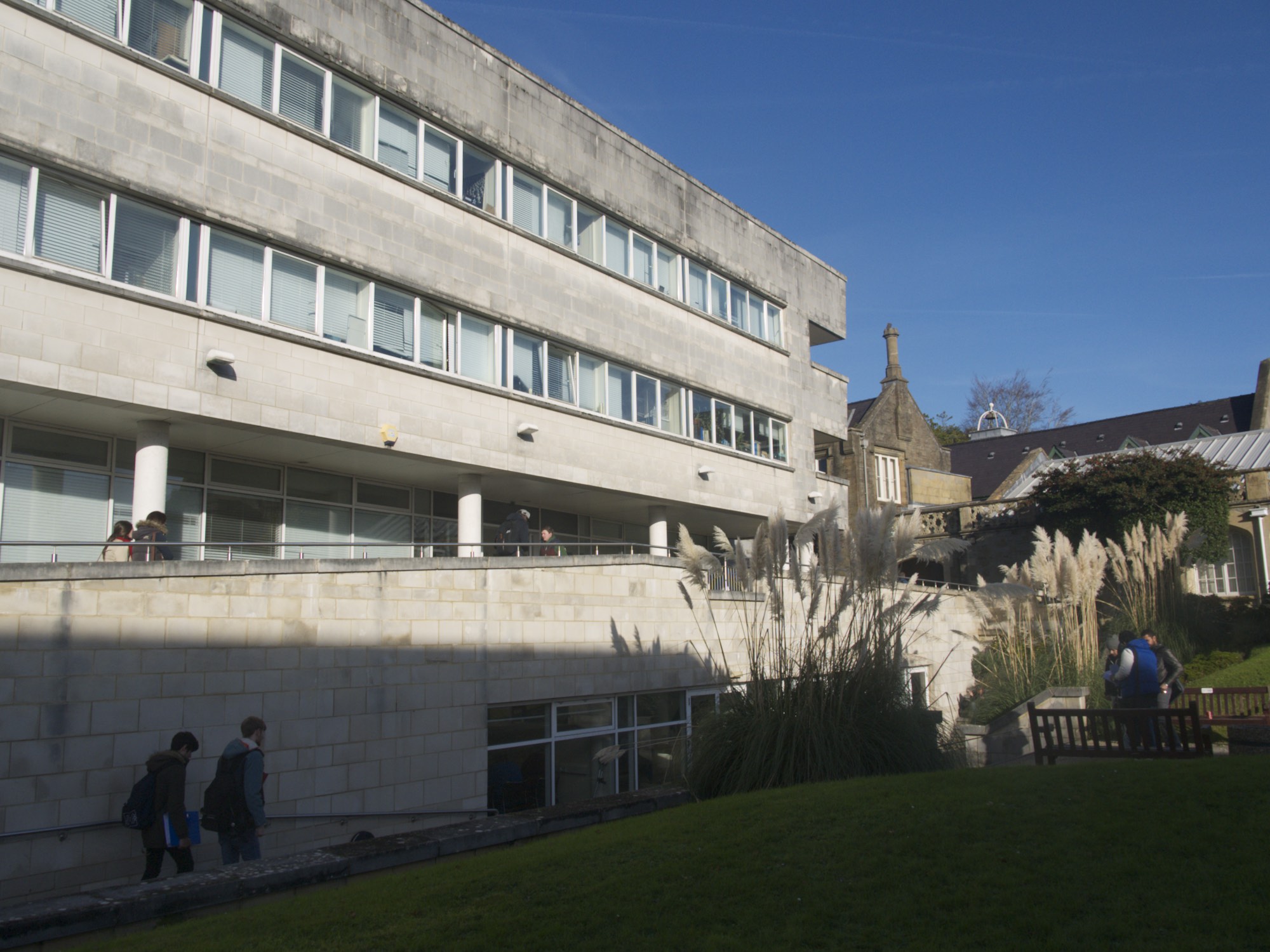 The Use of Foreign Language Skills in Social Science Research