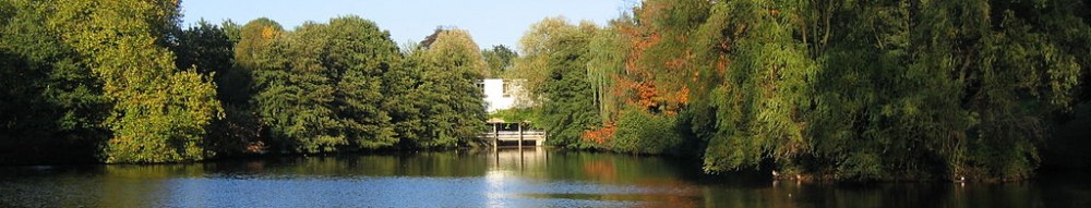 Essex Uni lake