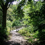 Methods and Techniques for Combined EEG-MRI Brain Registration for the Social Sciences