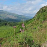 Writing Retreat for Sociologists Application Deadline