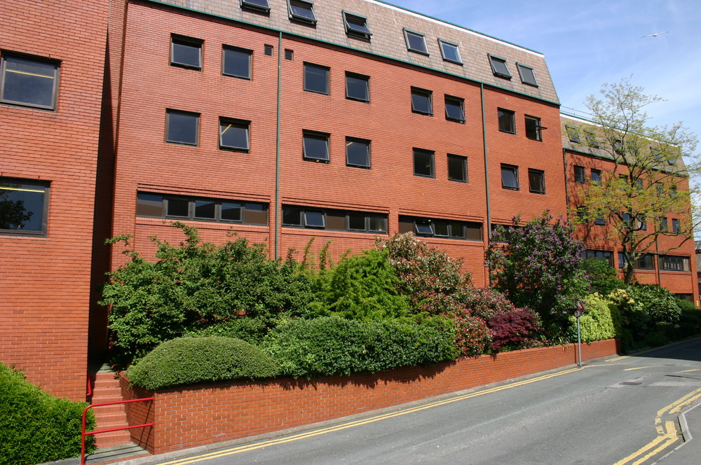 Programming and Coding in SPSS and Stata