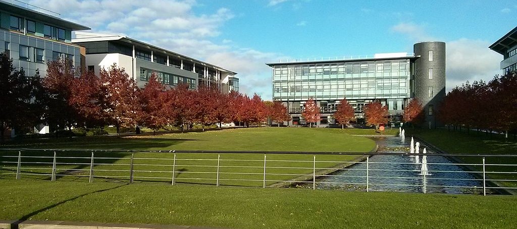 Python/PsychoPy Programming for Behavioural Science Studies