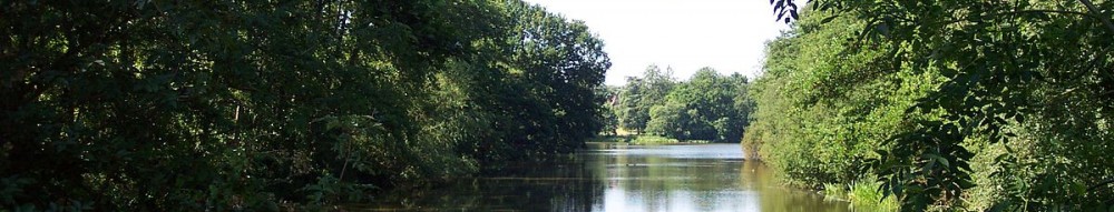 Whiteknights Lake
