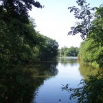 Reading Short Course on Neuroscience Methods